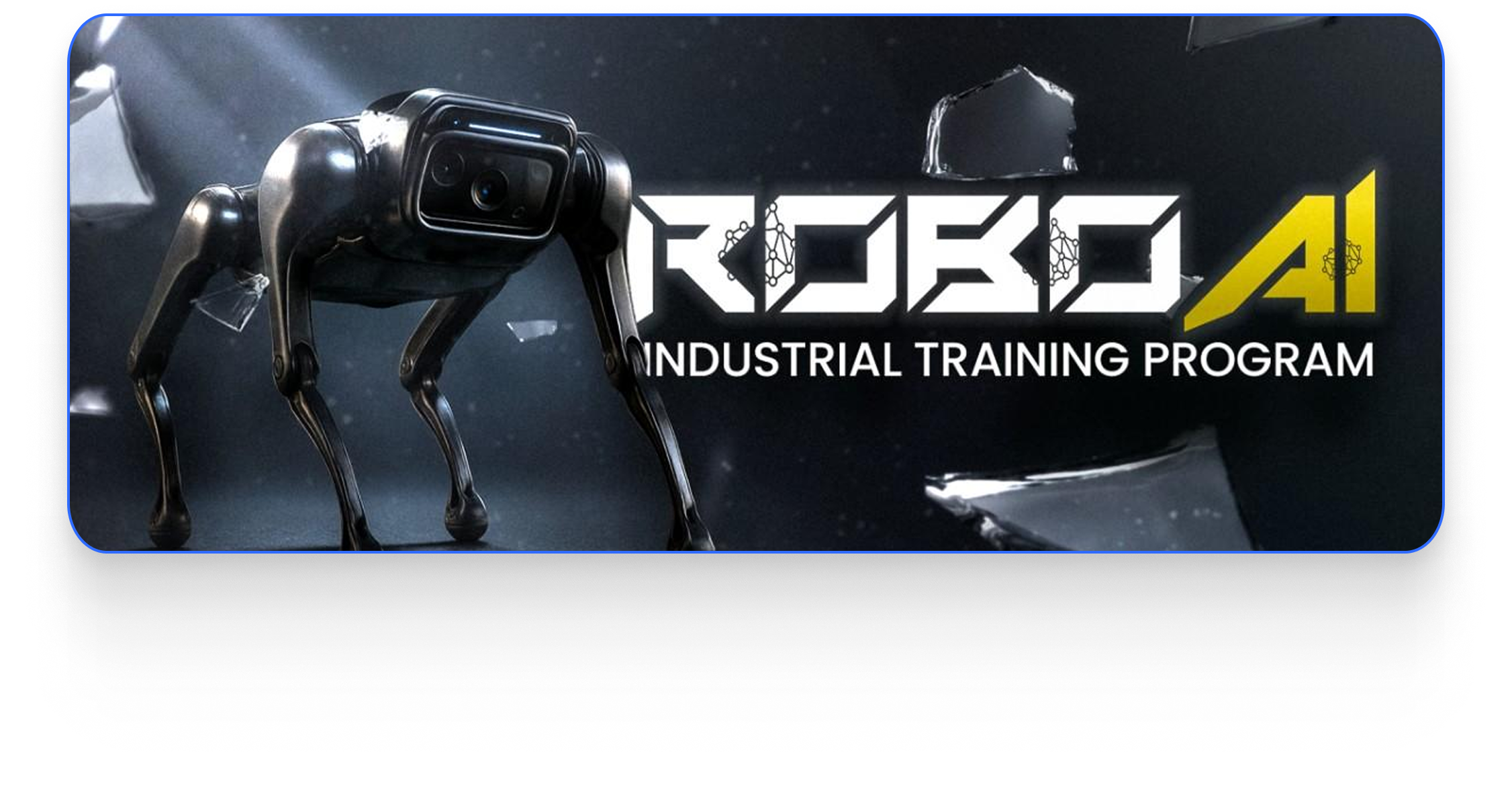RoboAI Industrial Training Program